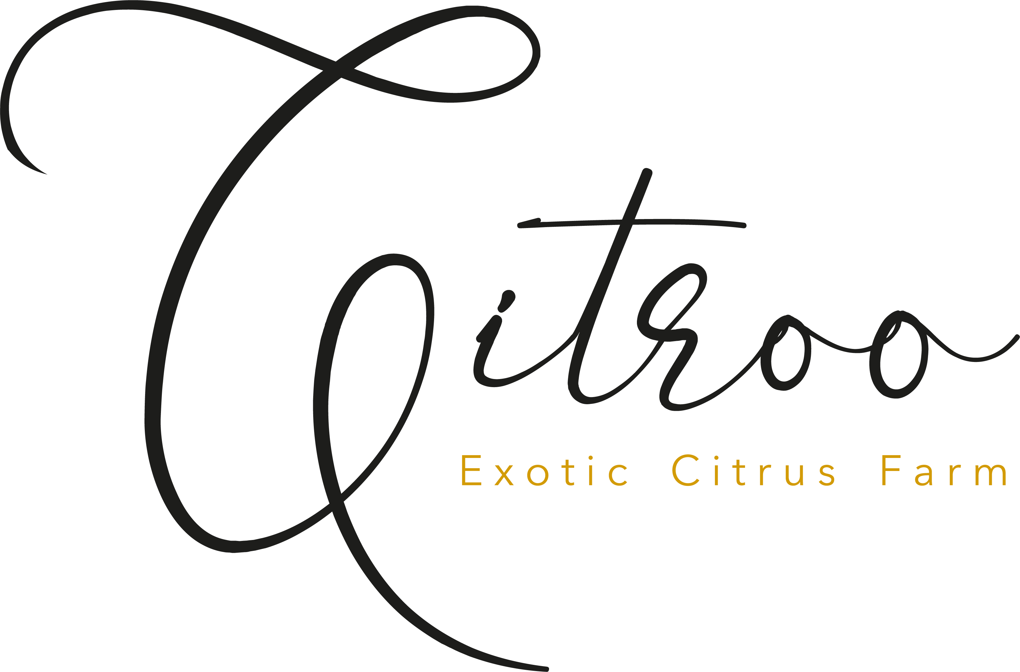 Citroo