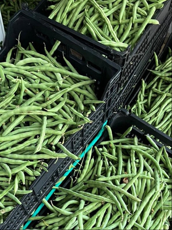 Round Green Beans