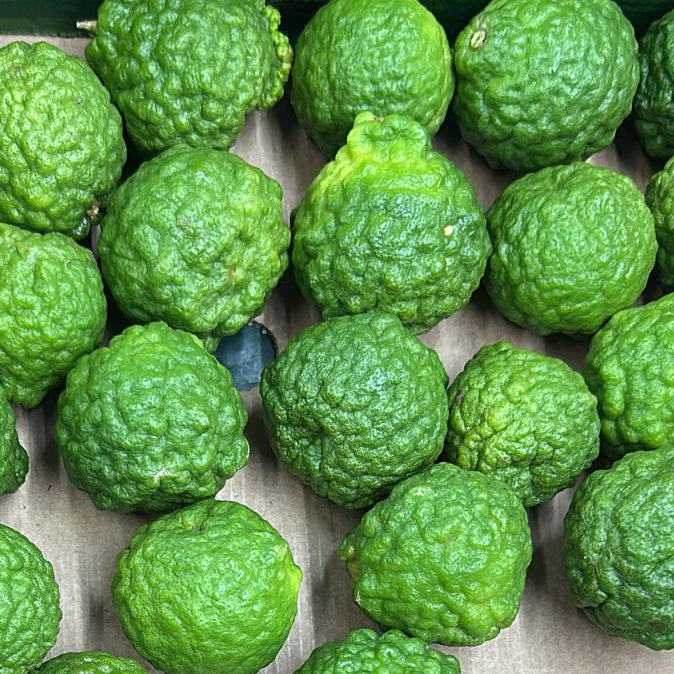 Kaffir Lime