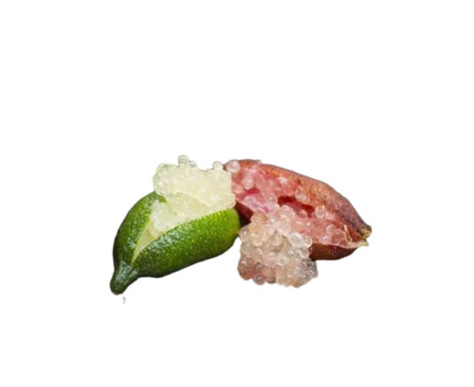 Finger Lime