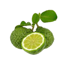 Bergamot