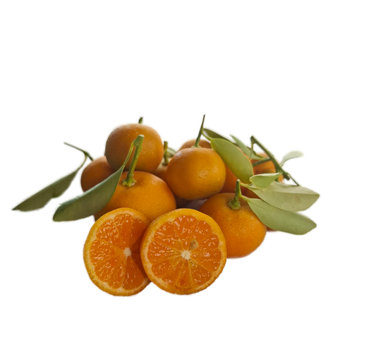 Calamondin