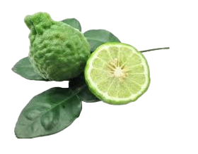 Kaffir Lime