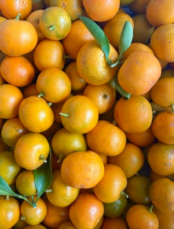 Calamondin