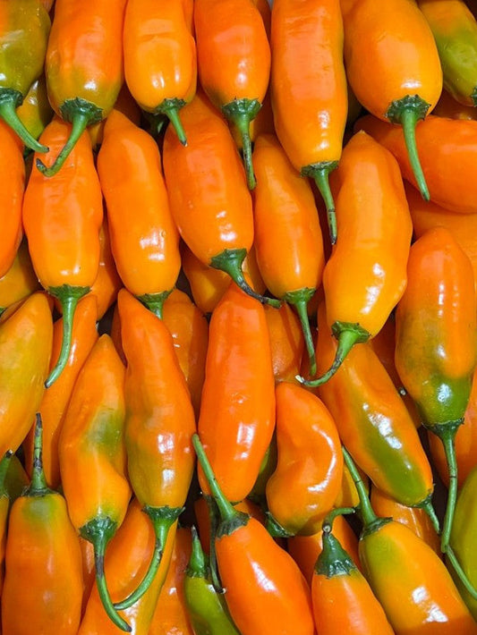 Ají Amarillo