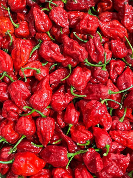 Carolina Reaper