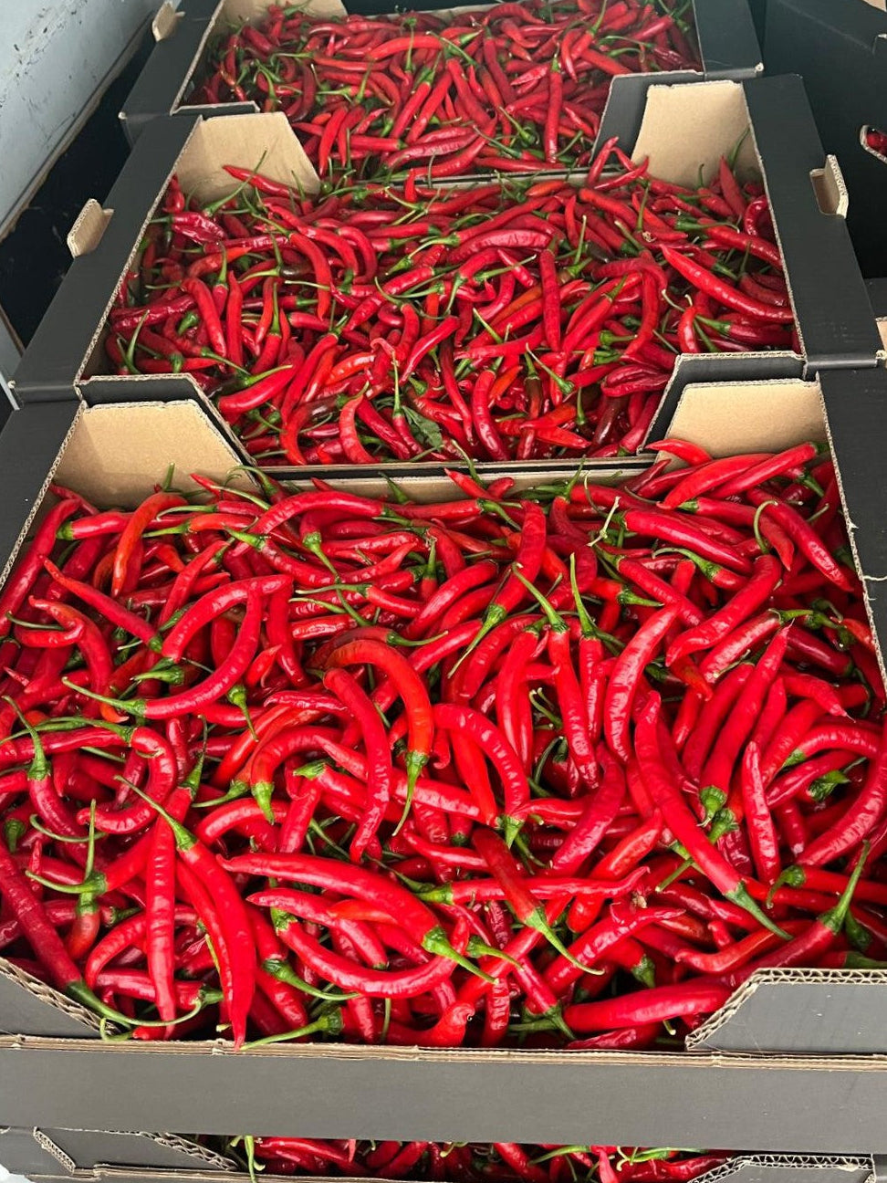 Cayenne