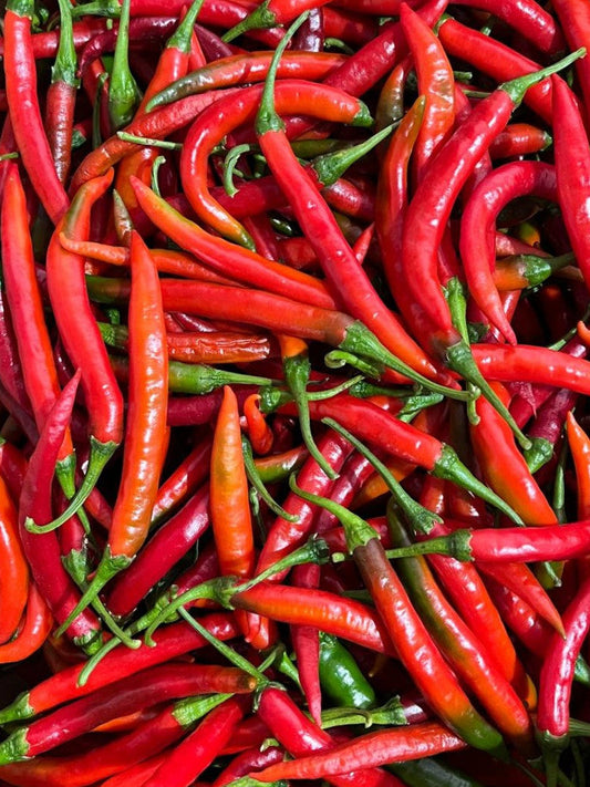 Cayenne