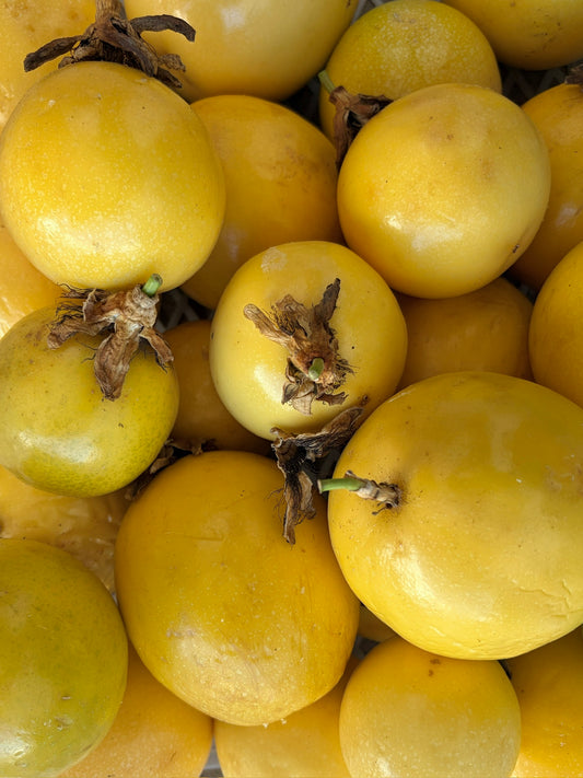 Maracujá Amarelo