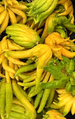 Mão de Buda
