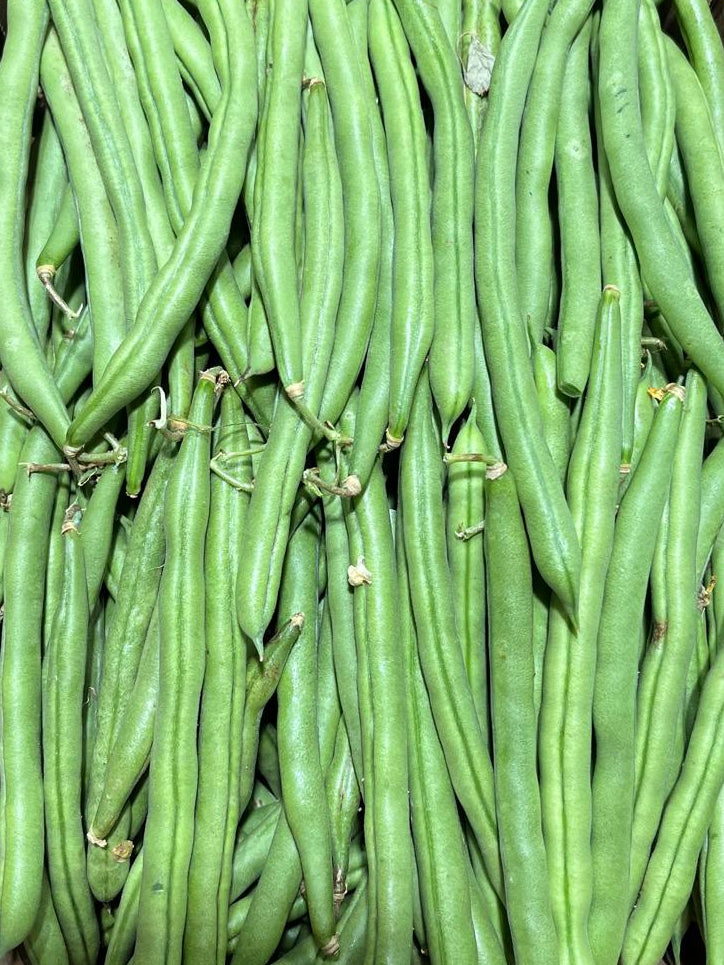Round Green Beans