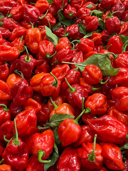 Habanero