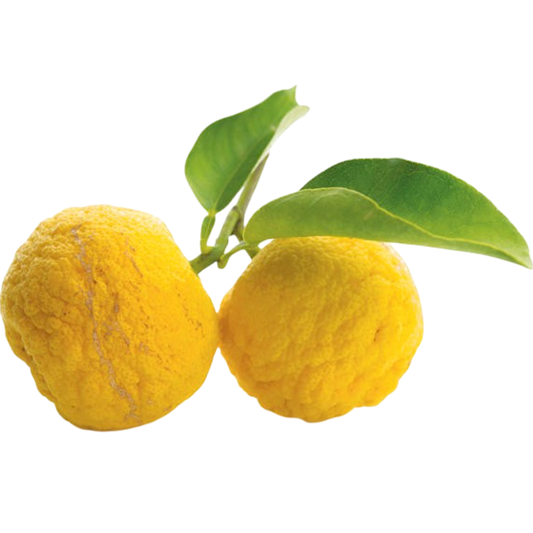 Yuzu