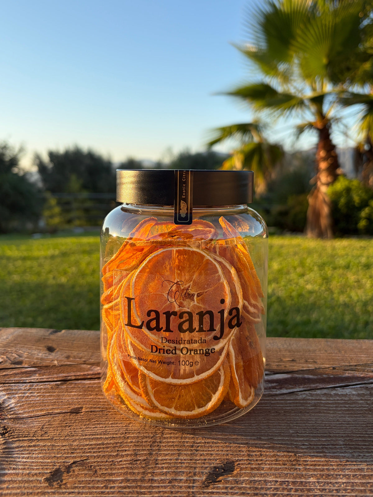 Laranja desidratada