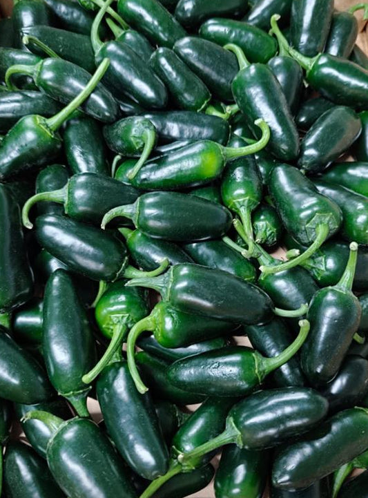 Jalapeño Green & Red