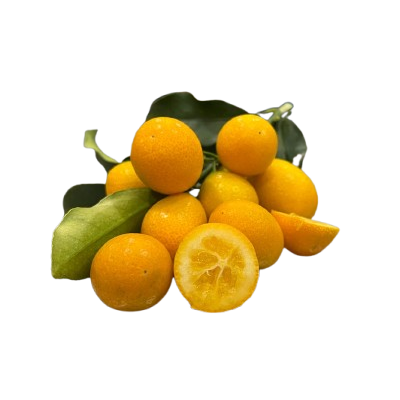 Kumquat