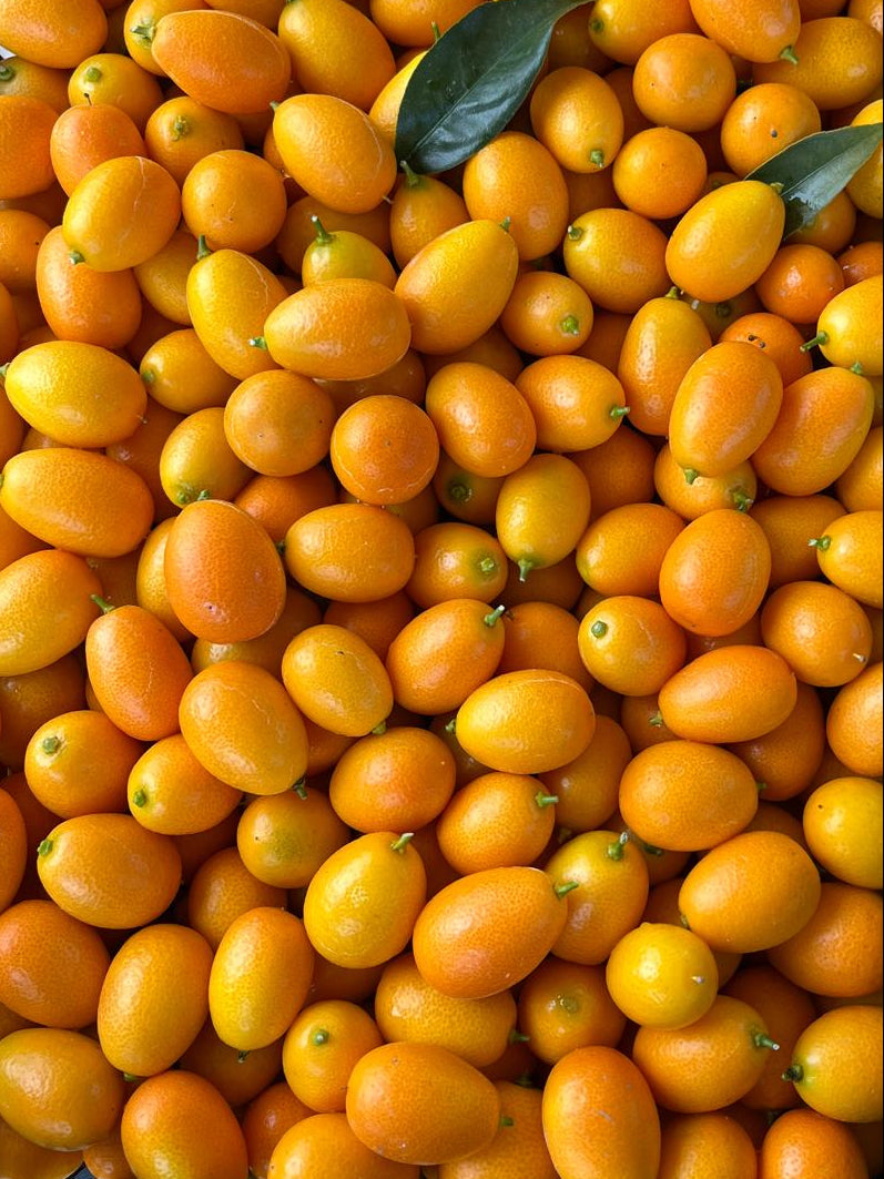 Kumquat