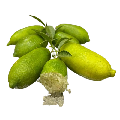 Finger Lime