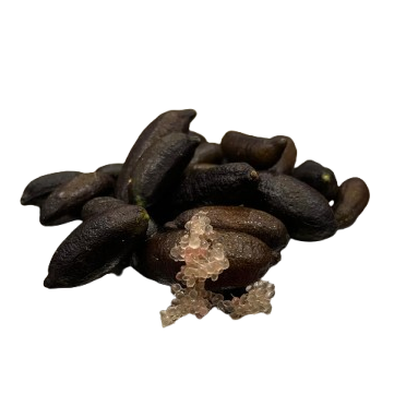 Finger Lime