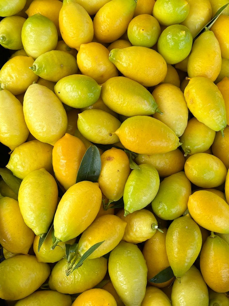 Limaquat