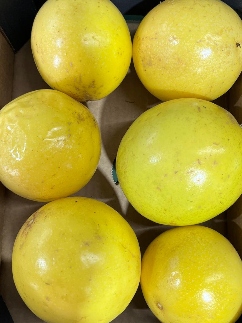 Yellow Passion Fruit