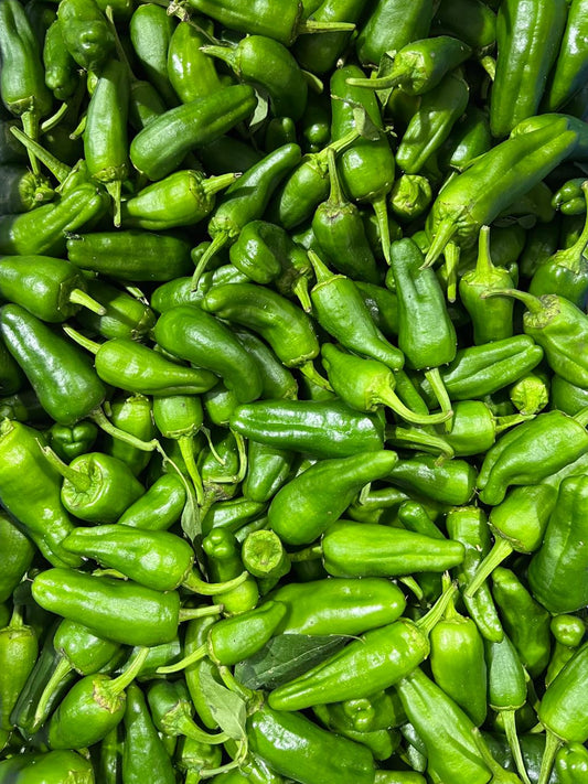 Padrón