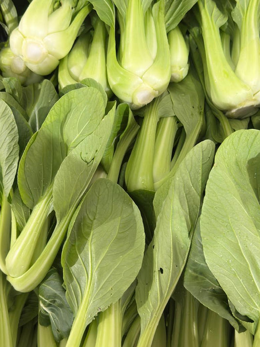 Pak Choi