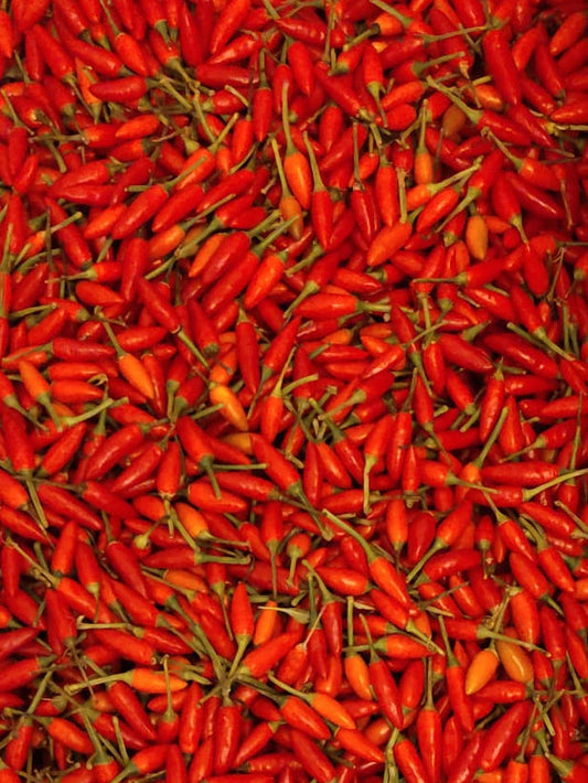 Piri-Piri