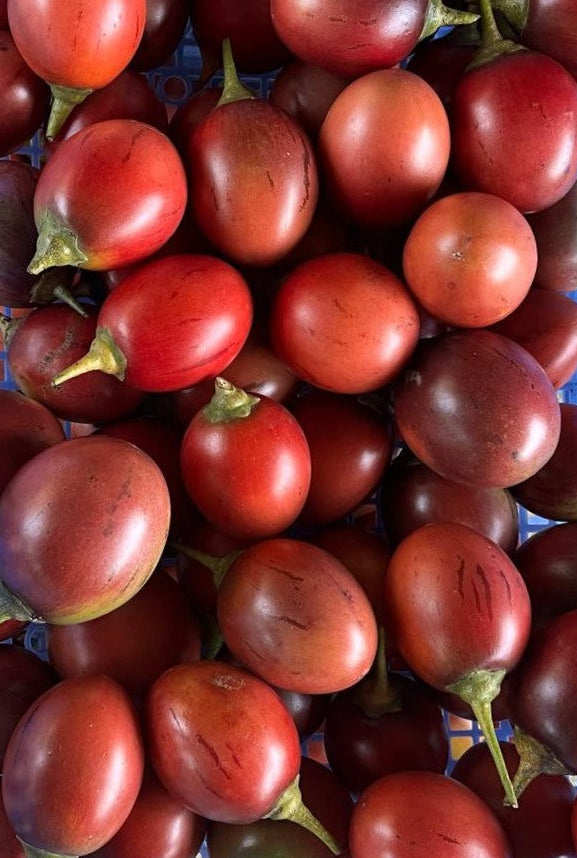 Tamarilho