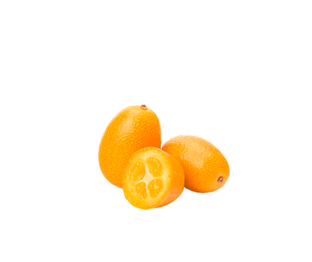 Kumquat