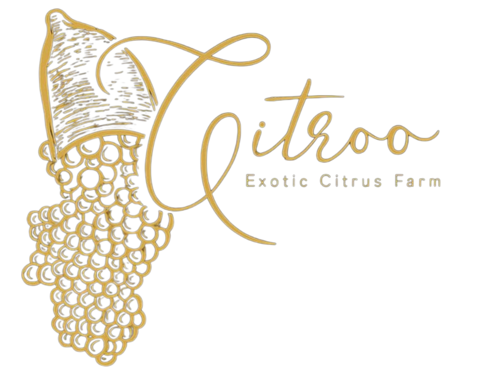 Citroo